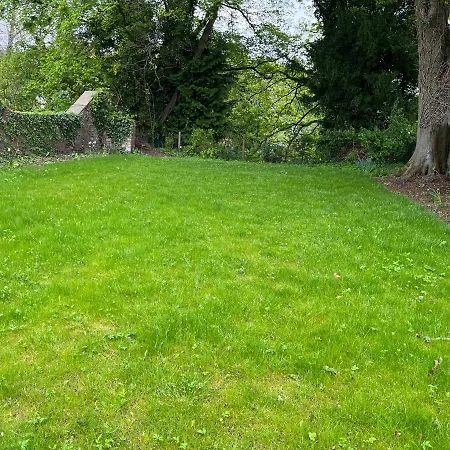 Crown And Cushion 3*