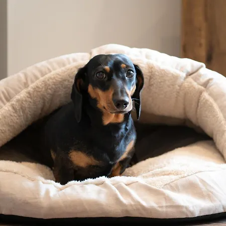 Crown And Cushion Appleby-in-Westmorland